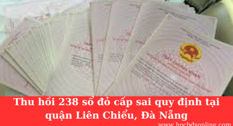 hu hồi 238 sổ đỏ cấp sai quy định tại quận Liên Chiểu, Đà Nẵng